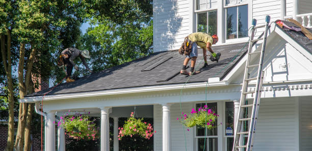 Best Flat Roof Repair Services  in Winsted, MN
