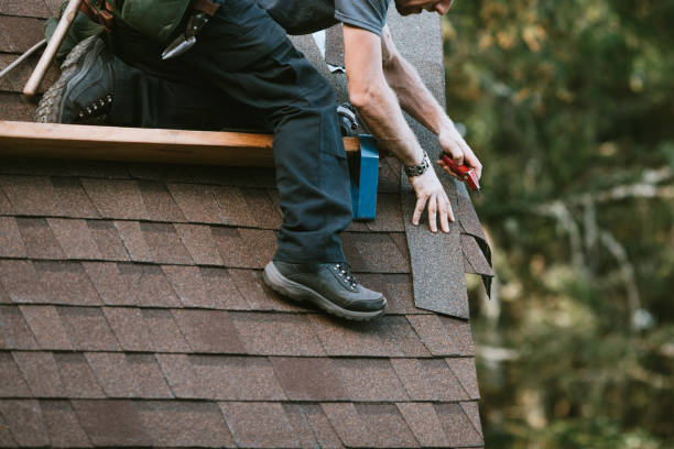 Best Roof Repair Services  in Winsted, MN
